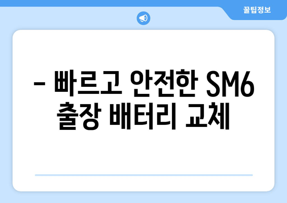 SM6 출장 배터리 교체| 빠르고 안전하게! | 자동차 배터리, 출장 서비스, SM6 배터리 교체