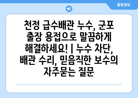 천정 급수배관 누수, 군포 출장 용접으로 말끔하게 해결하세요! | 누수 차단, 배관 수리, 믿음직한 보수