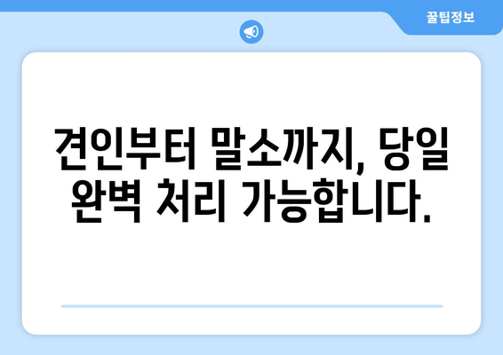 진해 화물차 압류차 출장 견인 & 당일 말소 완벽 가이드 | 견인, 말소, 법률 정보, 비용