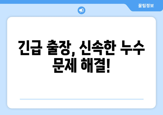 동작구 노후 냉수배관 누수, 빠르고 전문적인 출장 보수 지원 | 냉수배관 누수, 누수탐지, 배관공사, 긴급 출장, 동작구 배관