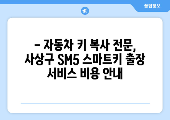 사상구 SM5 스마트키 추가 복사, 출장 서비스 비용 안내 | 차키 분실, 자동차 키 복사, 출장 서비스