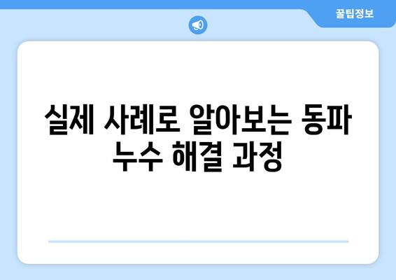 경기 광주 동파이프 누수, 차단부터 보수까지! 실제 사례 공개 | 동파, 누수, 해결, 전문가