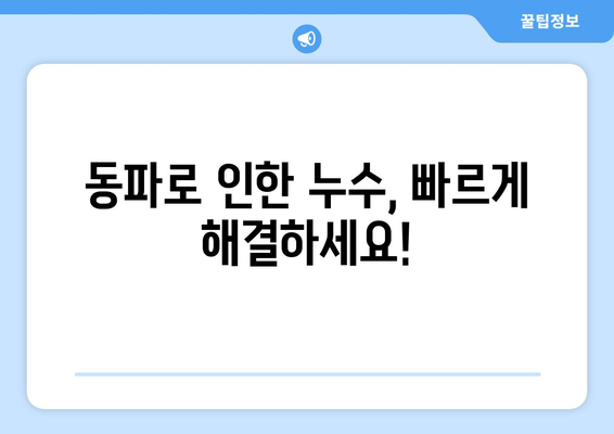 경기광주 동파이프 급수배관 누수 차단!  전문 보수 업체 찾기 | 누수, 급수, 배관, 동파, 수리,  경기광주