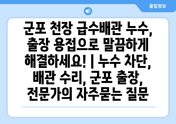 군포 천장 급수배관 누수, 출장 용접으로 말끔하게 해결하세요! | 누수 차단, 배관 수리, 군포 출장, 전문가