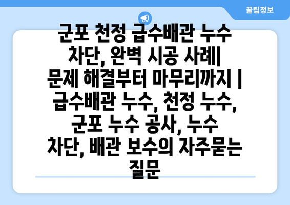 군포 천정 급수배관 누수 차단, 완벽 시공 사례| 문제 해결부터 마무리까지 | 급수배관 누수, 천정 누수, 군포 누수 공사, 누수 차단, 배관 보수