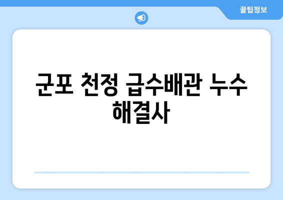 군포 천정 급수배관 누수, 빠르고 확실한 차단! 출장 지원 | 누수탐지, 수리, 배관공사, 24시간 긴급 출동