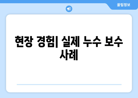 동작구 노후 냉수배관 누수 보수 현장 기록| 문제점 분석 및 해결 과정 | 냉수배관 누수, 누수 원인, 보수 방법, 현장 경험