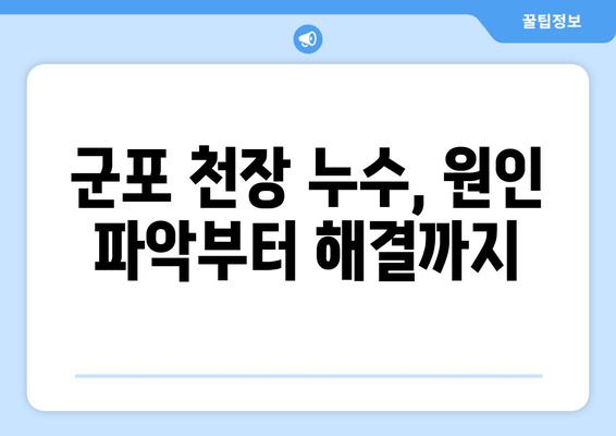 군포 천정 급수배관 누수? 즉각적인 해결책과 차단 방법 | 누수, 급수배관, 천장 누수, 보수, 군포