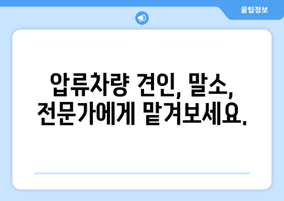 진해 화물차 압류차 견인 및 말소 절차 완벽 가이드 | 압류차량, 견인, 말소, 법률 정보