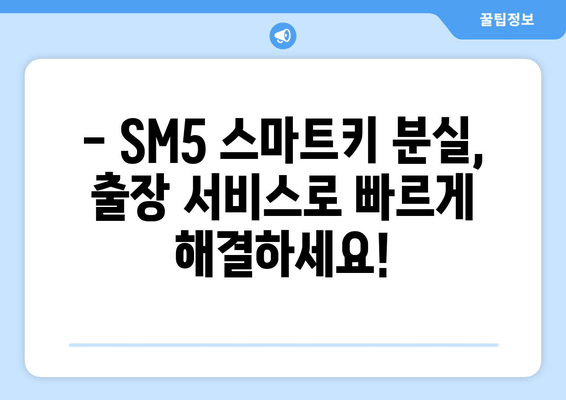 사상구 SM5 스마트키 복사, 출장 서비스점 비용 얼마? | 차키 분실, 스마트키 복제, 출장 서비스, 비용 안내