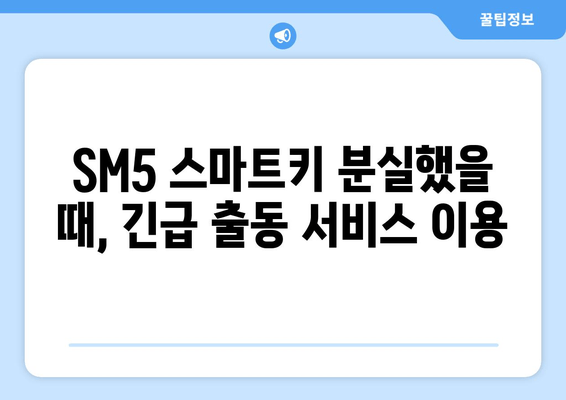 사상구 SM5 스마트키 복사, 출장 비용 얼마? | 스마트키 복제, 차키 분실, 긴급 출동, 가격 비교