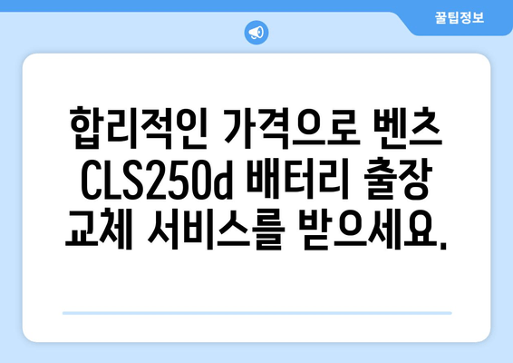 벤츠 CLS250d 배터리 출장 교체| 백석동 밧데리 교체 전문 | 빠르고 안전한 출장 서비스, 합리적인 가격