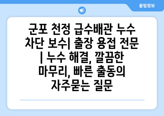 군포 천정 급수배관 누수 차단 보수| 출장 용접 전문 | 누수 해결, 깔끔한 마무리, 빠른 출동