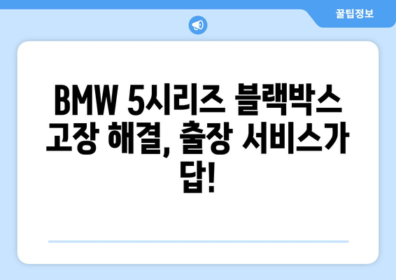 BMW 5시리즈 블랙박스 고장, 출장 시공 비용 상세 안내 | 블랙박스 수리, 출장 서비스, 견적