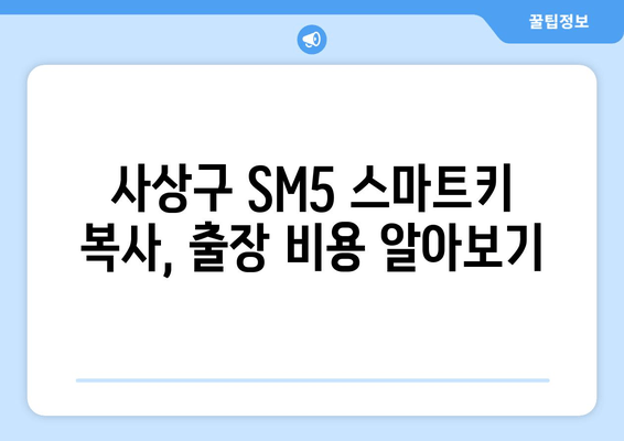 사상구 SM5 스마트키 복사, 출장 비용 얼마? | 스마트키 복제, 차키 분실, 긴급 출동, 가격 비교