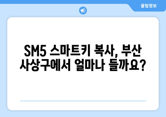 SM5 스마트키 복사 비용| 사상구 차키 출장 서비스 비교 가이드 | 부산, 자동차키, 긴급 출동, 24시간