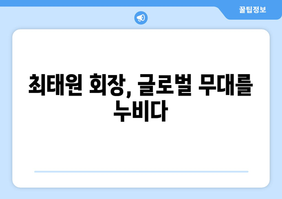 최태원 회장, 