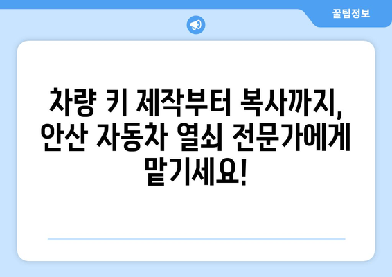 안산 자동차 열쇠 출장 복사| 빠르고 안전하게 해결하세요 | 24시간 출동, 긴급 열쇠 제작, 자동차 키 복사