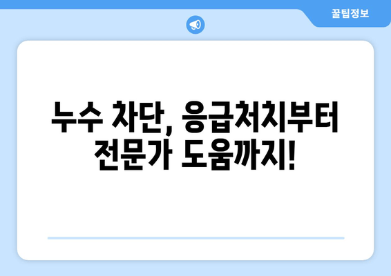 천정 급수배관 누수, 이제 걱정하지 마세요! | 누수 차단, 보수 방법, 전문가 추천