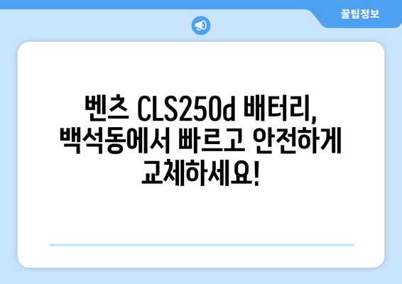 벤츠 CLS250d 배터리 출장 교체| 백석동 밧데리 교체 전문 | 빠르고 안전한 출장 서비스, 합리적인 가격