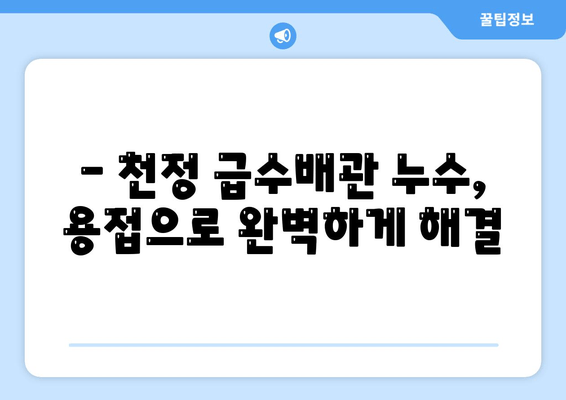 군포 천정 급수배관 누수, 즉시 차단 & 보수 출장용접 | 누수 전문, 빠른 해결, 합리적인 가격