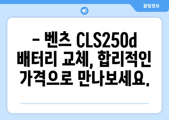 벤츠 CLS250d 배터리 교체, 백석동 출장 전문점에서 빠르고 안전하게! | 벤츠 배터리 교체, 출장 배터리, 자동차 배터리, 백석동