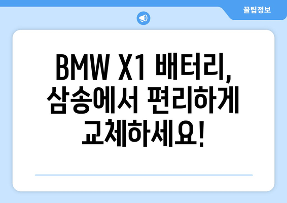 BMW X1 배터리 출장 교체 전문 | 덕양구 삼송 지역 빠르고 안전하게 |