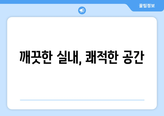 수원 실내 크리닝, 더운 날씨에 움직이지 말고 집에서 편하게! | 출장 실내 세차 서비스 안내