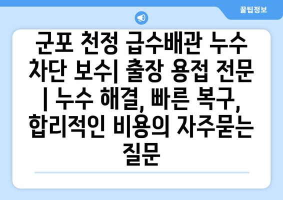 군포 천정 급수배관 누수 차단 보수| 출장 용접 전문 | 누수 해결, 빠른 복구, 합리적인 비용