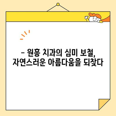 원흥 치과 심미 보철의 장인정신|  자연스러운 아름다움을 위한 최고의 선택 | 심미 치과, 보철 치료, 원흥 치과 추천