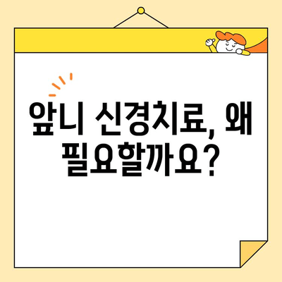 안양 치과 심미보철로 앞니 교체, 신경치료의 이유| 자연스러운 미소를 되찾는 방법 | 앞니, 교체, 심미보철, 신경치료, 안양 치과