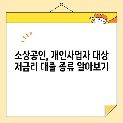 소상공인 및 개인사업자를 위한 정부 지원 저금리 대출 정보 | 대출 종류, 신청 자격, 지원 방법