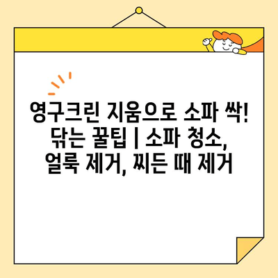 영구크린 지움으로 소파 싹! 닦는 꿀팁 | 소파 청소, 얼룩 제거, 찌든 때 제거