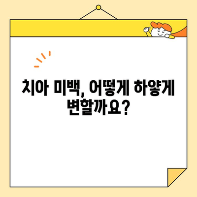 치아 미백의 과학| 어떻게 작동하는가? | 치아 미백 원리, 효과적인 방법, 주의 사항