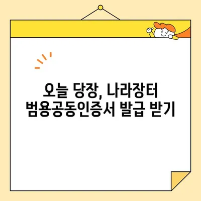 조달청 나라장터 사업자 범용공동인증서 당일 발급 완벽 가이드 |  빠르고 간편하게 발급받는 방법