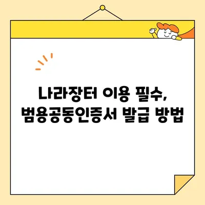 조달청 나라장터 사업자 범용공동인증서 당일 발급 완벽 가이드 |  빠르고 간편하게 발급받는 방법