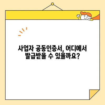 사업자 공동인증서 범용인증서 발급 완벽 가이드 | 단계별 설명, 필요 서류, 주의 사항