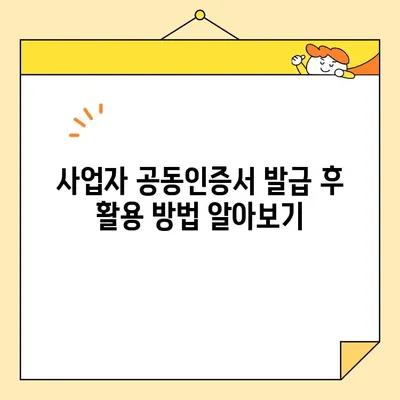 사업자 공동인증서 범용인증서 발급 완벽 가이드 | 단계별 설명, 필요 서류, 주의 사항