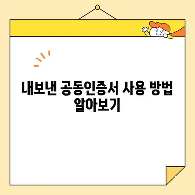 KB국민은행 공동인증서 발급부터 내보내기까지 완벽 가이드 | 공동인증서, 발급, 내보내기, 사용법, 단계별