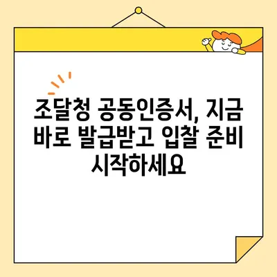 나라장터 입찰용 사업자 범용 공동 인증서, 지금 바로 발급받는 방법 | 조달청, 공동인증서, 즉시 발급