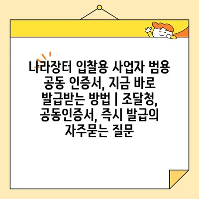 나라장터 입찰용 사업자 범용 공동 인증서, 지금 바로 발급받는 방법 | 조달청, 공동인증서, 즉시 발급