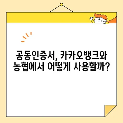 카카오뱅크 & 농협 공동인증서 발급 완벽 가이드 | 공동인증서 발급 방법, 카카오뱅크, 농협, 공인인증서