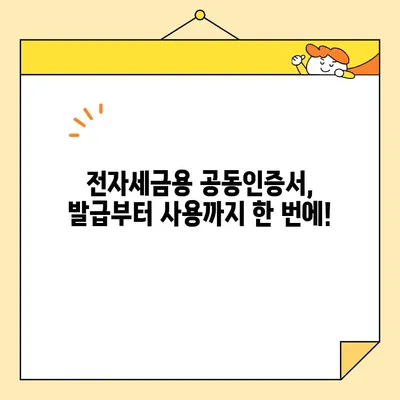 전자세금용 공동인증서 발급부터 전자세금계산서 발행까지 완벽 가이드 | 전자세금계산서, 공동인증서, 발급, 발행, 가이드