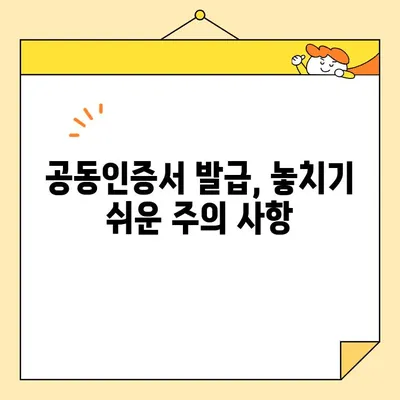 사업자 범용공동인증서 (공동인증서) 당일 발급 완벽 가이드 | 빠르고 쉽게 발급받는 방법, 필요한 서류, 주의 사항