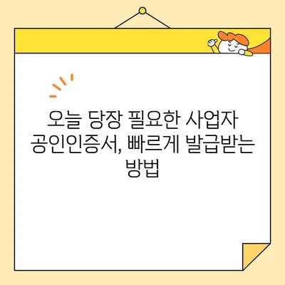 사업자 범용 공인인증서(공동인증서) 당일 발급 완벽 가이드 | 발급 방법, 필요 서류, 주의 사항