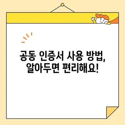 개인사업자 공동 인증서 비대면 발급, 범용 인증서로 간편하게! | 온라인 발급, 사용 방법, 혜택, 비교