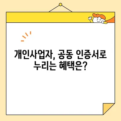 개인사업자 공동 인증서 비대면 발급, 범용 인증서로 간편하게! | 온라인 발급, 사용 방법, 혜택, 비교