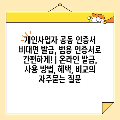 개인사업자 공동 인증서 비대면 발급, 범용 인증서로 간편하게! | 온라인 발급, 사용 방법, 혜택, 비교