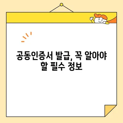 한국사업자인증센터 홈택스 사업자 공동인증서 발급 절차| 상세 가이드 | 사업자등록증, 공동인증서, 발급 방법