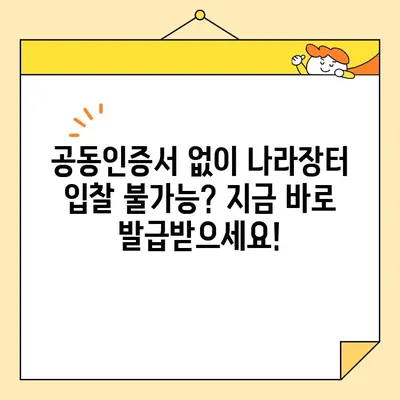 나라장터 전자입찰 필수! 범용 공동인증서 간편 발급 가이드 | 공동인증서, 나라장터, 전자입찰